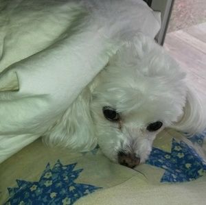 Meet your Posher, Rod